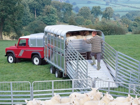 ifor-williams-trailers-northern-ireland-Sales-da-TA5-2